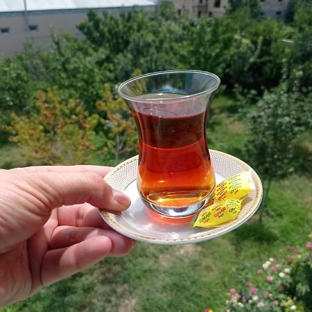 Bizim Ev Hostel Naftalan Exteriör bild